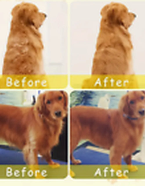 Load image into Gallery viewer, Rechargeable Shedding Hair Spray Hot Steam Easy Pet Grooming Brush for Cat, Dog
