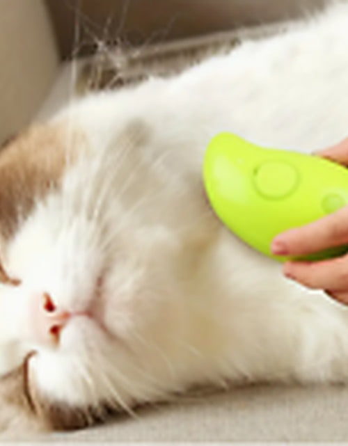 Load image into Gallery viewer, Rechargeable Shedding Hair Spray Hot Steam Easy Pet Grooming Brush for Cat, Dog
