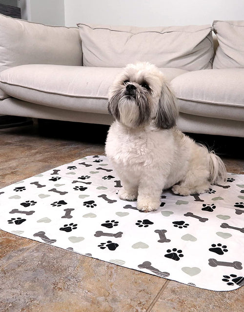 Load image into Gallery viewer, Washable Pee Pads for Dogs - Waterproof Reusable Puppy Pads with Anti-Slip Backing, Pet Training Pad for Puppy Playpen, Crate, Whelping Box, Potty Training (Pack of 6 - 30X34)
