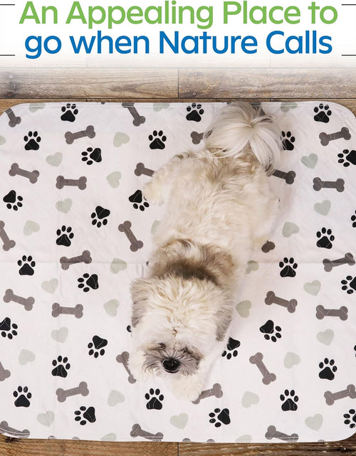 Load image into Gallery viewer, Washable Pee Pads for Dogs - Waterproof Reusable Puppy Pads with Anti-Slip Backing, Pet Training Pad for Puppy Playpen, Crate, Whelping Box, Potty Training (Pack of 6 - 30X34)
