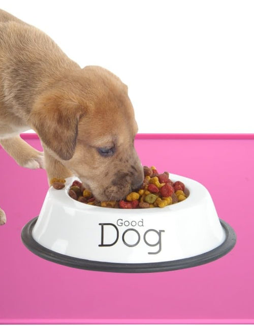 Load image into Gallery viewer, Dog Food Mat, Silicone Dog Cat Bowl Mat, Non Slip Pet Feeding Mat Waterproof Dog Placemat for Small Animals
