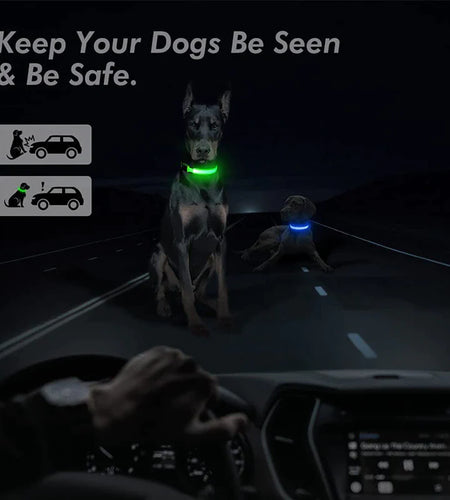 LED Adjustable Dog Collar Blinking Flashing Light up Glow Pets Safety Waterproof