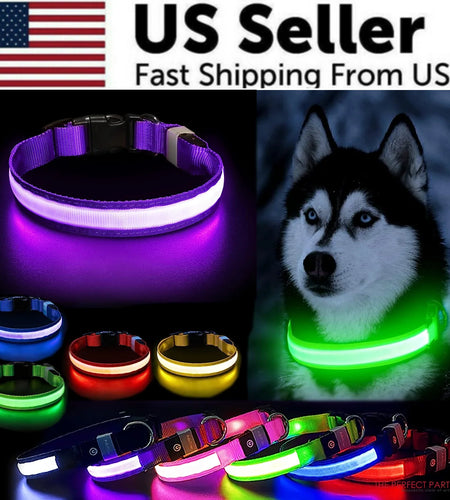 LED Adjustable Dog Collar Blinking Flashing Light up Glow Pets Safety Waterproof