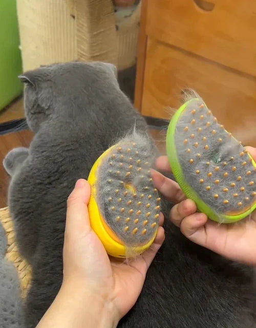Load image into Gallery viewer, Cat Dog Steamy Brush Steam Brush Electric Sprayer for Massage Pet Grooming Tool Shedding 3 in 1 Electric Sprays Massage Combs
