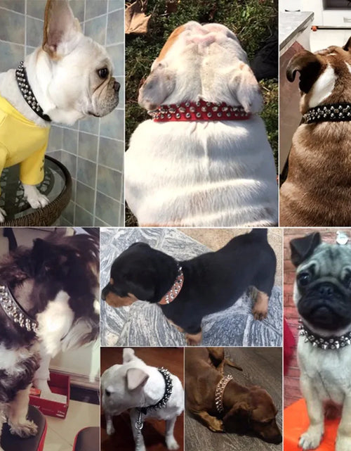 Load image into Gallery viewer, Spiked Studded Leather Dog Collar Rivets Pet Small Large Cat Pit Bull Adjustable
