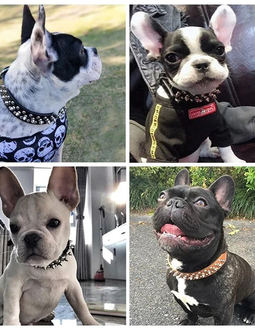 Load image into Gallery viewer, Spiked Studded Leather Dog Collar Rivets Pet Small Large Cat Pit Bull Adjustable
