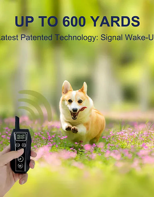 Load image into Gallery viewer, 650 YD Remote Dog Training Shock Collar Waterproof for Small Medium Large Dogs

