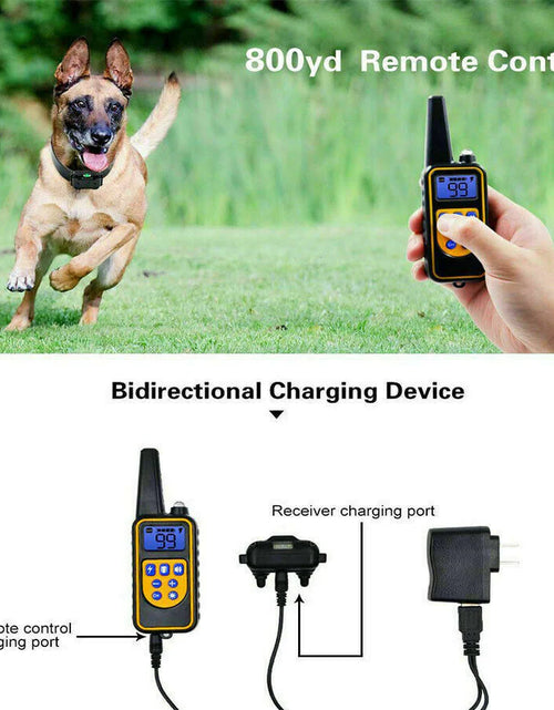 Load image into Gallery viewer, 2600 FT Remote Dog Shock Training 2 Collar Set Rechargeable Waterproof LCD Pet
