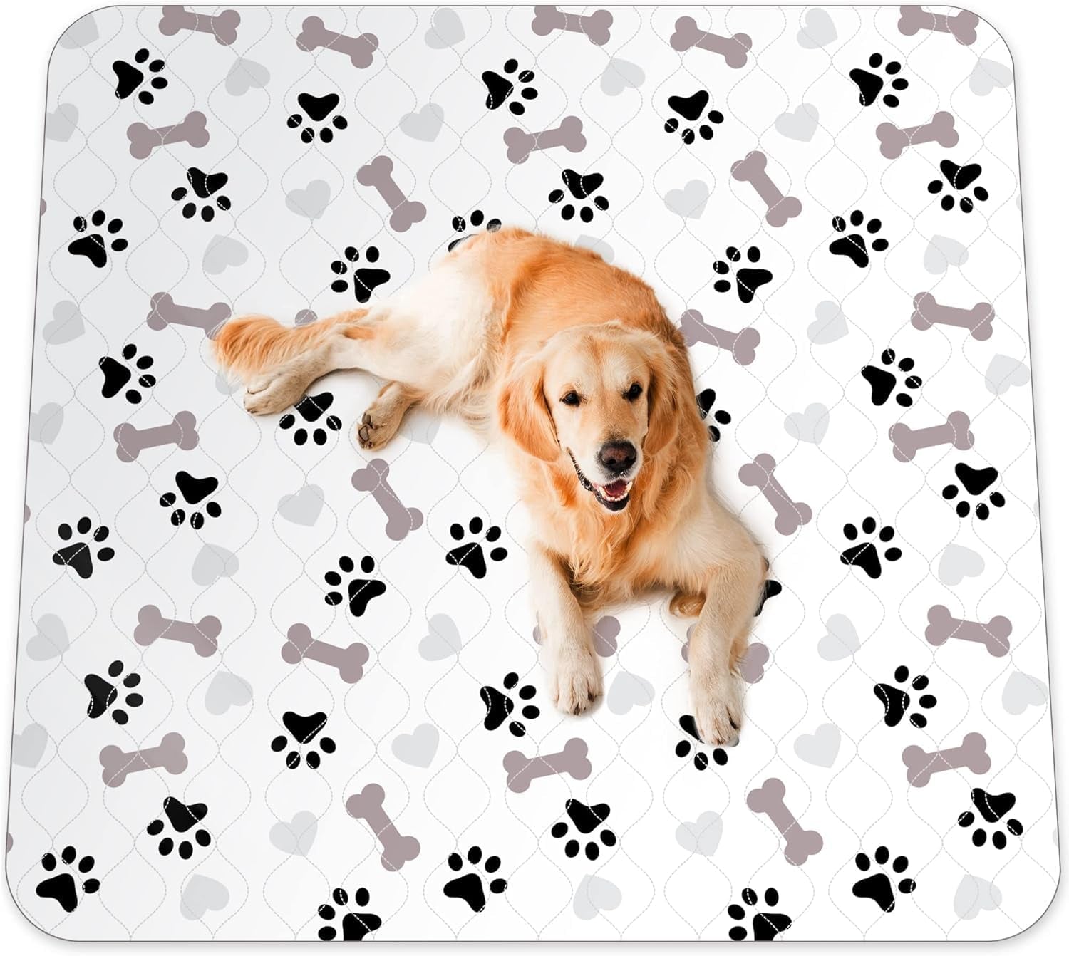 Washable Pee Pads for Dogs - Waterproof Reusable Puppy Pads with Anti-Slip Backing, Pet Training Pad for Puppy Playpen, Crate, Whelping Box, Potty Training (Pack of 6 - 30X34)